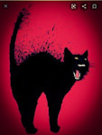 Avatar de Usuario