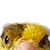 Avatar de Usuario