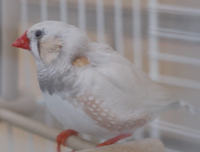 Captura de pantalla 2021-08-23 a las 8.19.29.png